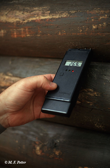 Moisture meters are useful tools for predicting potential for reinfestation.