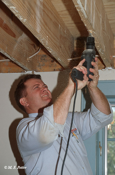 Insecticides can also be applied by drilling and injecting directly into infested wood.