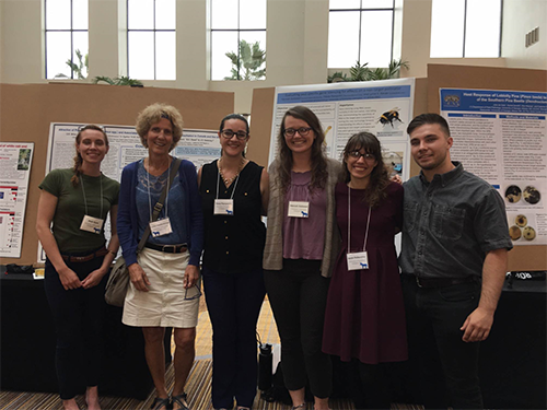 Insect Work Conference